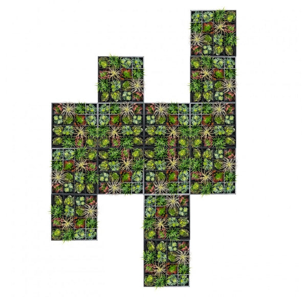 Green Wall, Pixelated Succulent by Gold Leaf Design Group | Green Wall | Modishstore-10
