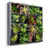 Green Wall, Pixelated Succulent by Gold Leaf Design Group | Green Wall | Modishstore-11