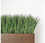 Grass: Liriope in Linear Planter with Legs - Gold Leaf Design Group | Planters, Troughs & Cachepots | Modishstore-3