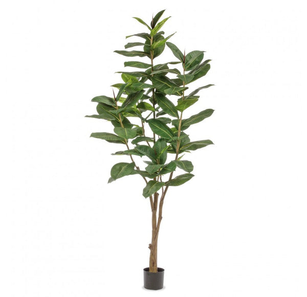 Potted, Rubber Ficus Tree, 84