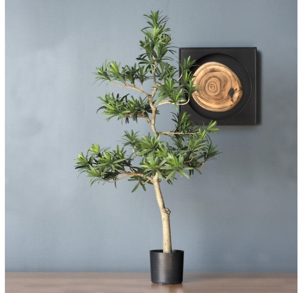 Potted, Podocarpus Tree by Gold Leaf Design Group | Botanicals | Modishstore-11