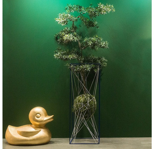 Potted, Podocarpus Tree by Gold Leaf Design Group | Botanicals | Modishstore-12