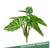 Outdoor Alocasia Bush by Gold Leaf Design Group | Botanicals | Modishstore