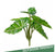 Outdoor Alocasia Bush by Gold Leaf Design Group | Botanicals | Modishstore