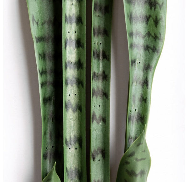 Outdoor Sansevieria Green Plant Set Unpotted Set of 2  by Gold Leaf Design Group | Botanicals | Modishstore-2