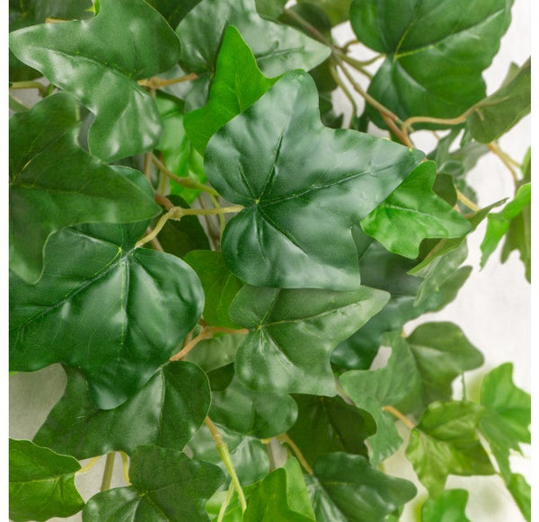 Ivy Bushes, Outdoor by Set of 12 Gold Leaf Design Group | Planters, Troughs & Cachepots | Modishstore-2