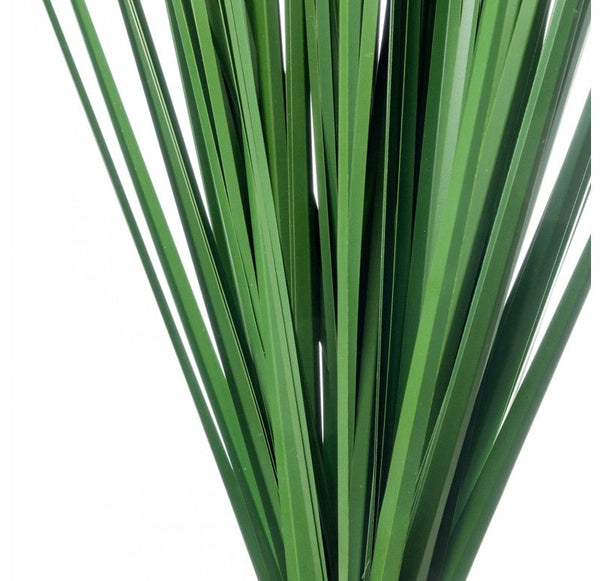 Grass, Outdoor Bush, 40