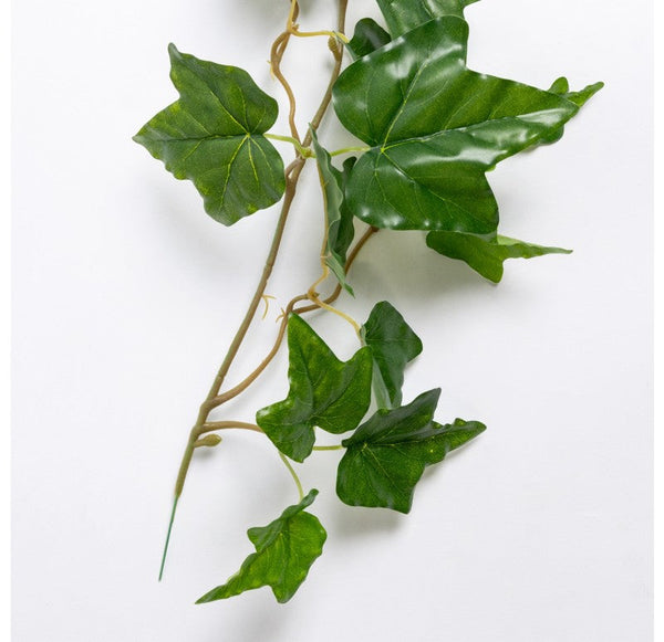 Ivy Garland, Outdoor, 66