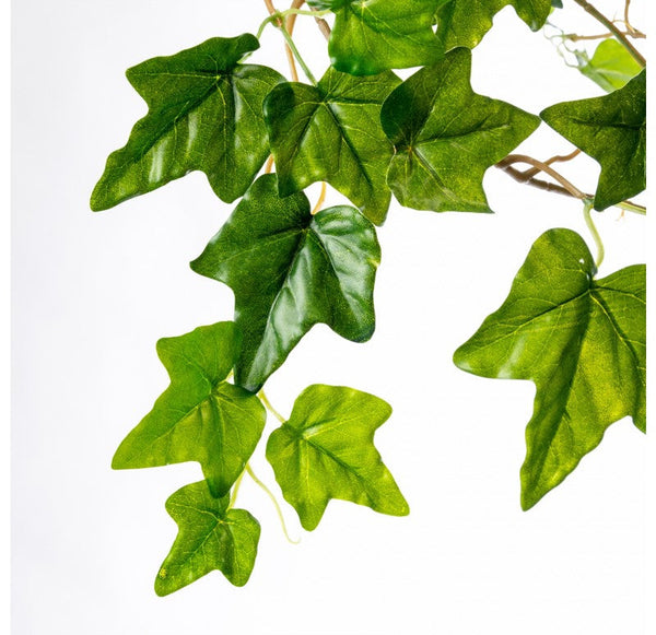 Ivy Garland, Outdoor, 66