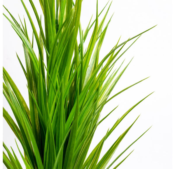Grass: Sword Grass Bunch Set of 2 by Gold Leaf Design Group | Botanicals | Modishstore-2