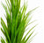 Grass: Sword Grass Bunch Set of 2 by Gold Leaf Design Group | Botanicals | Modishstore-2