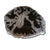 PF-1116 Petrified Wood Slab With Custom Made Base by AIRE Furniture