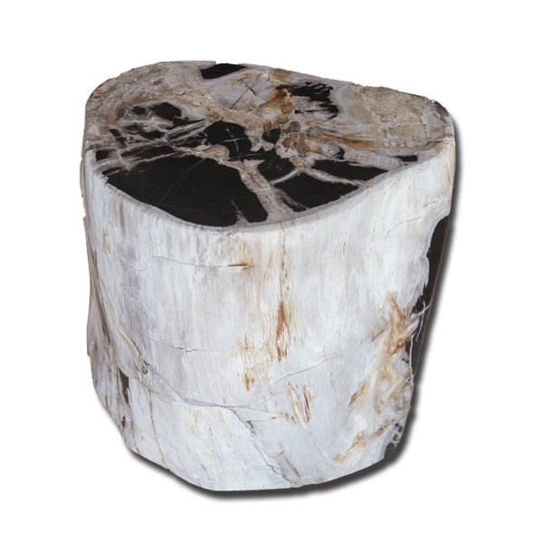 Petrified Wood Stool PF-2136 by Aire Furniture