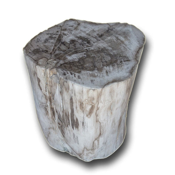 Petrified Wood Stool PF-2140 by Aire Furniture