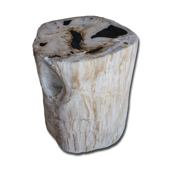 Petrified Wood Stool PF-2143 by Aire Furniture