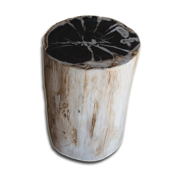 Petrified Wood Stool PF-2146 by Aire Furniture