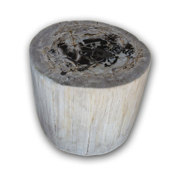 PF-2148 Petrified Wood Stool by AIRE Furniture