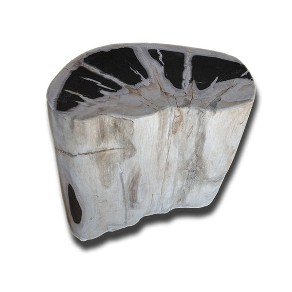 Petrified Wood Stool PF-2149 by Aire Furniture