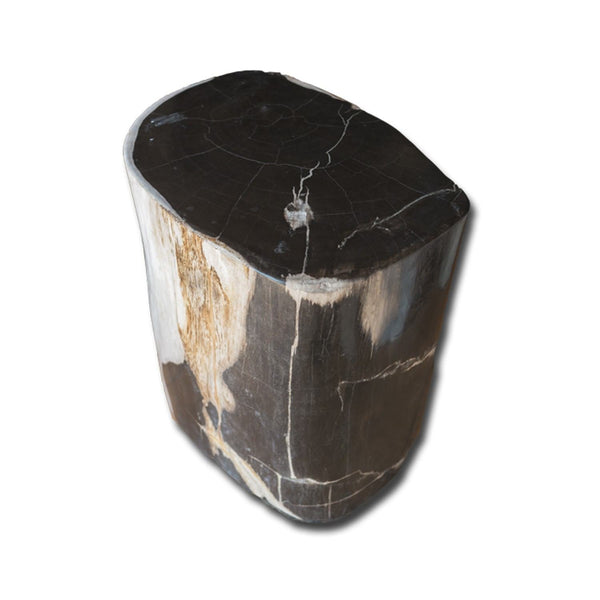 PF-2151 Petrified Wood Stool by AIRE Furniture