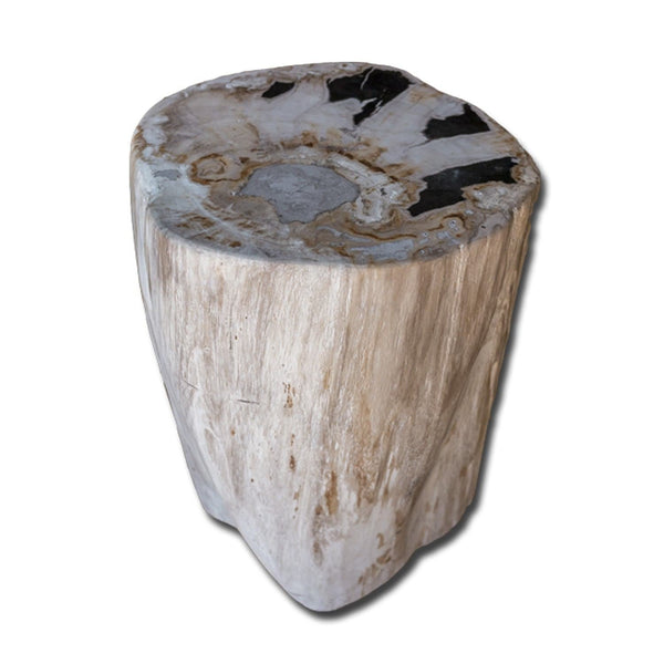 PF-2152 Petrified Wood Stool by AIRE Furniture