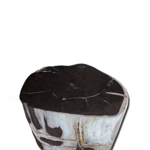 PF-2155 Petrified Wood Stool by AIRE Furniture