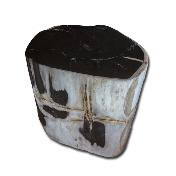 PF-2155 Petrified Wood Stool by AIRE Furniture