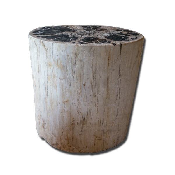 PF-2156 Petrified wood stool by AIRE Furniture