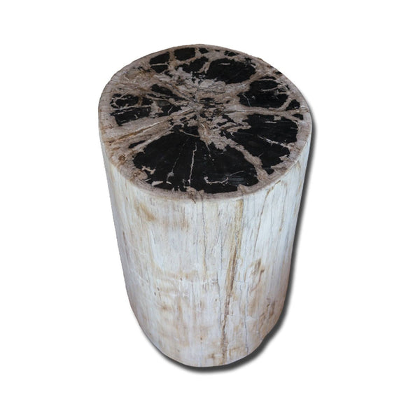 PF-2156 Petrified wood stool by AIRE Furniture