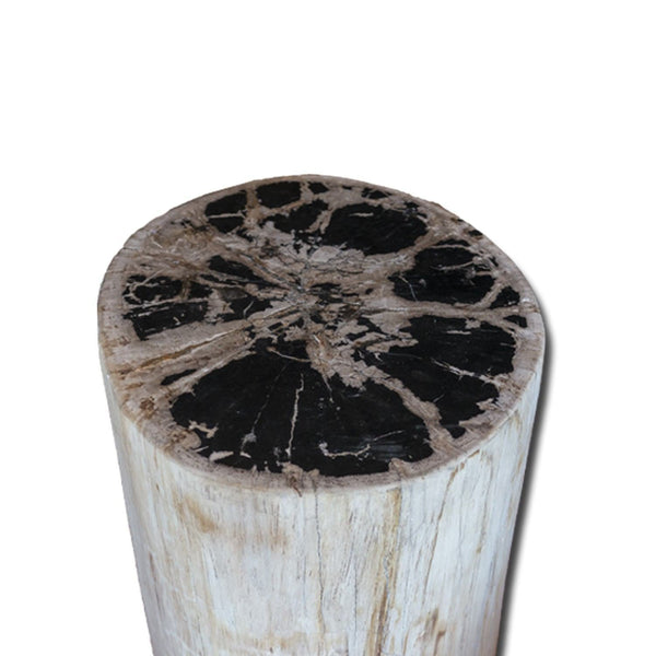 PF-2156 Petrified wood stool by AIRE Furniture