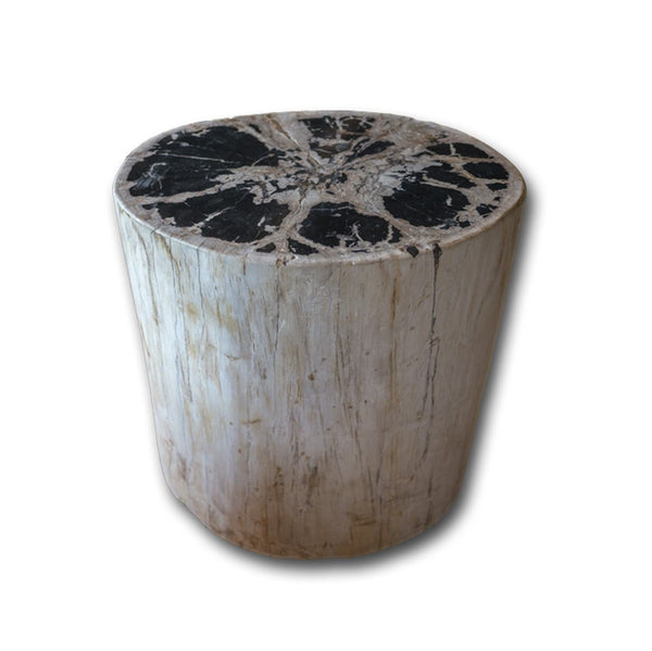 PF-2156 Petrified wood stool by AIRE Furniture
