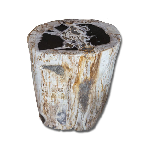 Petrified Wood Stool PF-2168 by Aire Furniture