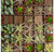 Green Wall, Pixelated Succulent by Gold Leaf Design Group | Green Wall | Modishstore-2