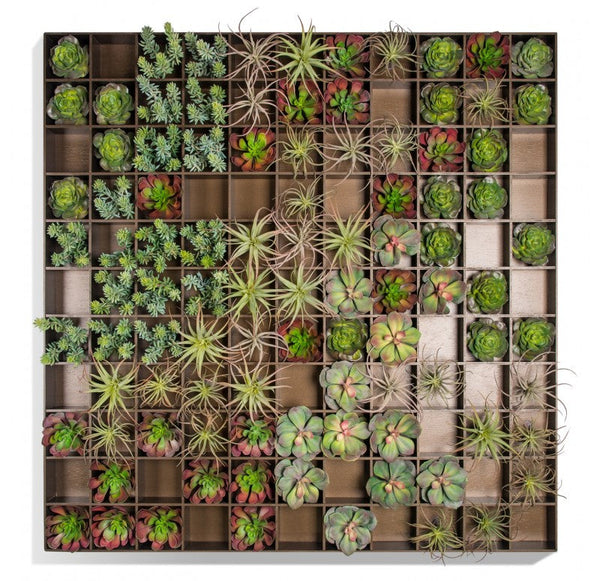 Green Wall, Pixelated Succulent by Gold Leaf Design Group | Green Wall | Modishstore-9