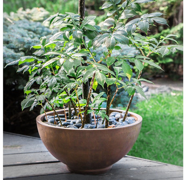 Gold Leaf Design Group Amaya Bowl Planter - Set Of 2 | Outdoor Planters, Troughs & Cachepots | Modishstore