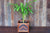 Masaya Planter, Hardwood Herringbone Pattern, Indoor/Outdoor
