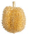 Gold Leaf Design Group Gilded Resin Durian Fruit (Set of 2) | Home Accents | Modishstore-2