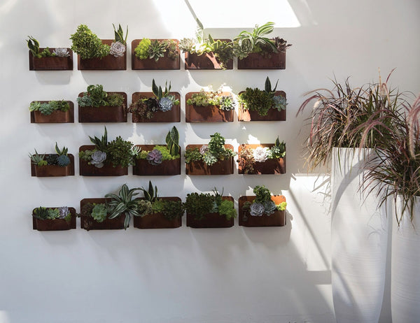Rust Wall Planter by Accent Decor (Set of 8)