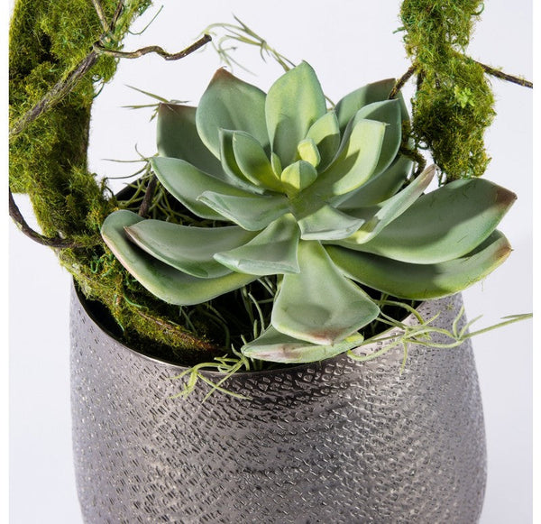 Vine & Succulent in Sitara Vase by Gold Leaf Design Group | Vases | Modishstore-2