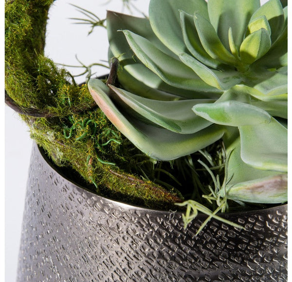 Vine & Succulent in Sitara Vase by Gold Leaf Design Group | Vases | Modishstore-3