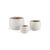 Ellis Pots -Set of 3 By Napa Home & Garden