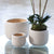 Ellis Pots -Set of 3 By Napa Home & Garden
