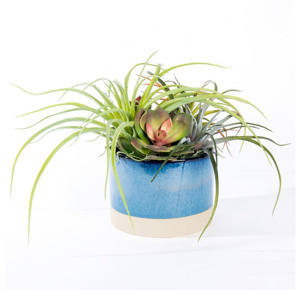 Urban Mix in Geode Planter by Gold Leaf Design Group | Planters, Troughs & Cachepots | Modishstore-5