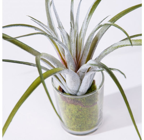 Urban Mix, Set of 2 by Gold Leaf Design Group | Botanicals | Modishstore-4