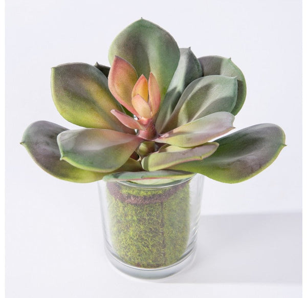 Urban Mix, Set of 2 by Gold Leaf Design Group | Botanicals | Modishstore-3