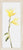 Surya Tipton Wall Decor - TIP5002-1226 | Wall Art | Modishstore
