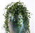 Angel Vine in Tuscan Vase by Gold Leaf Design Group | Vases | Modishstore-2