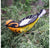 Felt Bird, Blackburnian Warbler Set of 4 by Gold Leaf Design Group | Animals & Pets | Modishstore-2