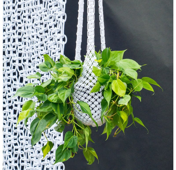Macrame Hanging Basket Set of 2 by Gold Leaf Design Group | Planters, Troughs & Cachepots | Modishstore