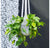 Macrame Hanging Basket Set of 2 by Gold Leaf Design Group | Planters, Troughs & Cachepots | Modishstore