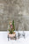 Venture Stand Set of 4 by Accent Decor